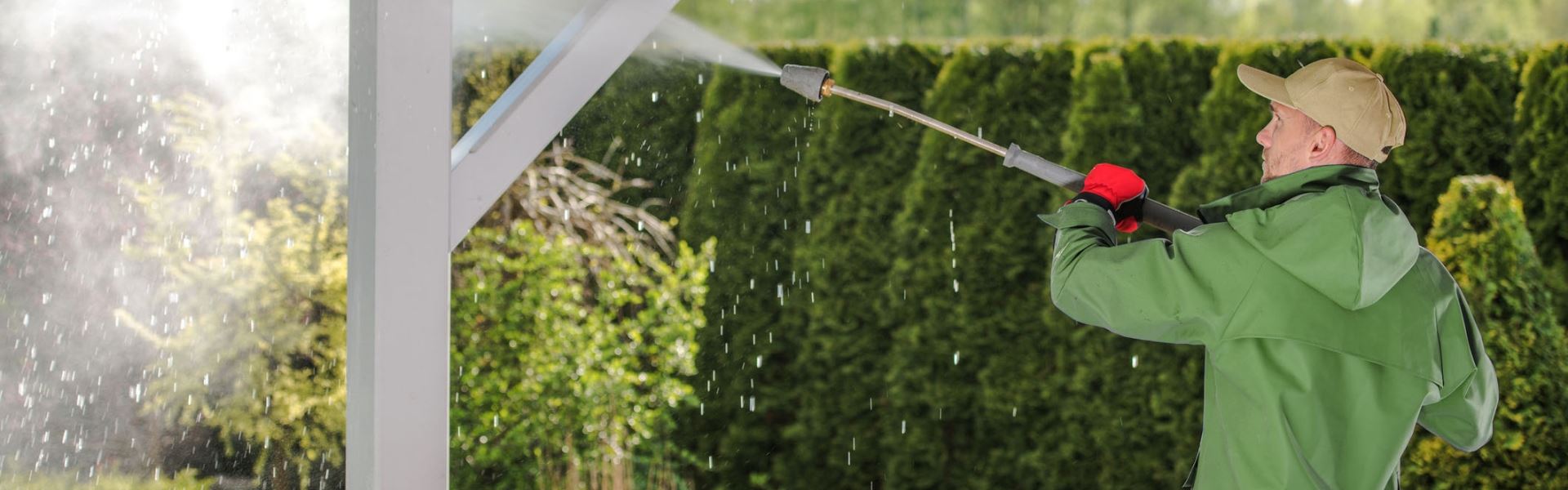 Pest Control in Olympia Olympia Pest Management