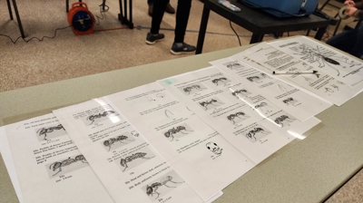 Ant ID Lab Keys Photo
