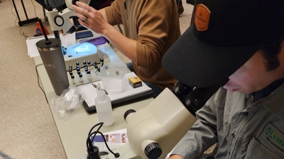 Ant ID Lab 2023 Photo